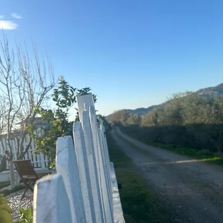 Dsvilla Villa